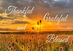 Image result for Grateful Blessed Thankful Sayings