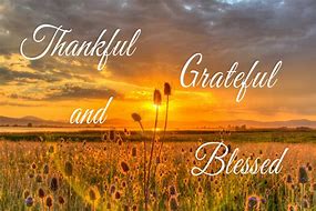 Image result for Grateful Blessed Thankful Sayings