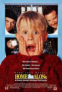 Image result for Home All Alone