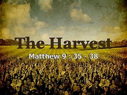 Image result for Matthew 9:35-38