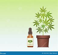 Image result for CBD Oil Dropper