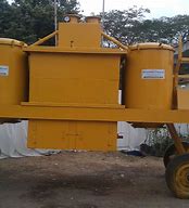 Image result for Haldi Plant