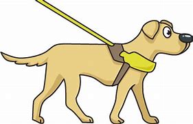 Image result for Guide Dog PNG