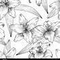 Image result for Black and White Lino Print Lily