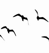 Image result for Line Drawing of Seagull In-Flight