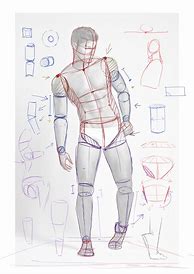 Image result for Art Reference Poses Anatomy