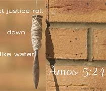 Image result for Amos Plumb Line