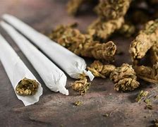 Image result for Ganja Drug