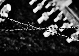 Image result for Barb Wire Line