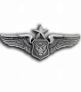 Image result for USAF Aircrew Wings