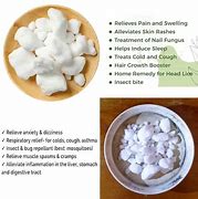 Image result for Camphor