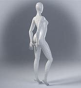 Image result for Body 3D Model Maker