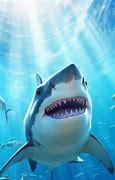 Image result for Great White Shark On Land