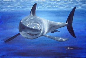 Image result for Spiky Shark Tail Art