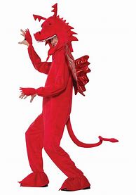 Image result for Dragon Costume Adult