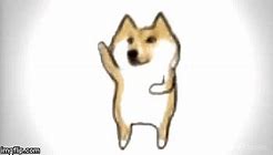 Image result for Yaco Doge GIF