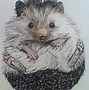 Image result for Hedgehog Drawing