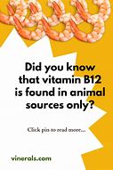 Image result for B12 Sources