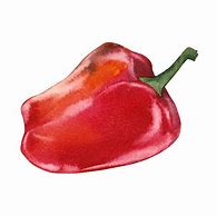 Image result for Paprika Clip Art