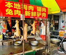 Image result for Chinese Night Market Dog Meat