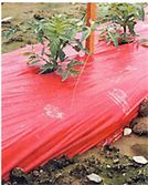 Image result for Plastic Garden Mulch