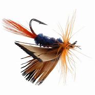 Image result for Fly Fishing Bait