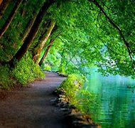 Image result for Peaceful Life Wall Art