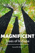 Image result for Magnificent Trees