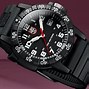 Image result for Luminox Blackbird Band