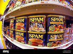 Image result for Large Cans of Spam