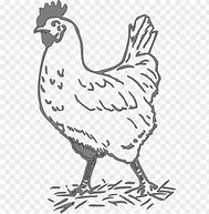 Image result for Chicken Shirt SVG