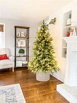 Image result for Shrub Christmas Tree