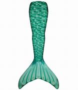 Image result for Mermaid Fin