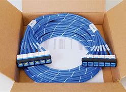 Image result for Ethernet Patch Panel