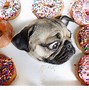 Image result for Donut in Bathroom Floor Meme