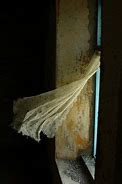 Image result for Lace Curtains Blowing