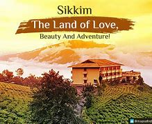 Image result for Beauty Skim