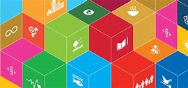 Image result for SDG Cubes