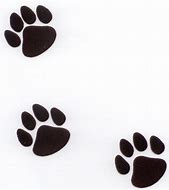 Image result for Two Paw Prints