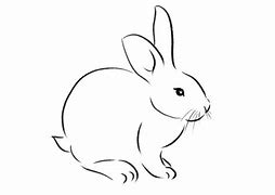 Image result for Rabbit Laying Drawing