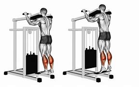 Image result for Standing Calf Raise Machine