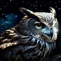 Image result for Night Owl Osa