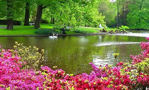 Image result for Beautiful Great Outdoors