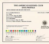 Image result for AKC DNA Certificate