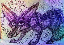 Image result for Coyote Trickster