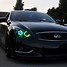 Image result for Lnfiniti G37 Black IPL Spoiler