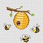 Image result for Bee Cartoon Banner.png