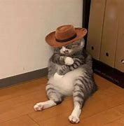 Image result for Spongebob Cowboy Hat Meme