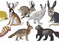 Image result for Mythical Rabbit