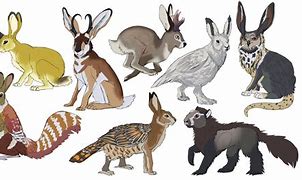 Image result for Mythical Rabbit Creatures